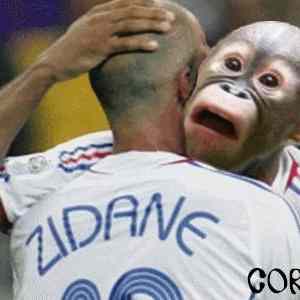 Obrázek 'Zidane C2 A0'