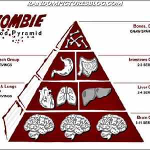 Obrázek 'Zombie food pyramid'