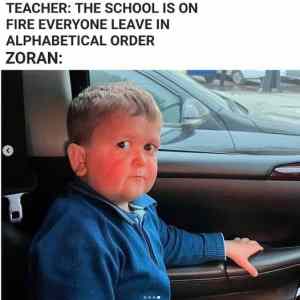 Obrázek 'Zoran is mad'