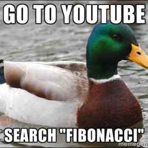 Obrázek 'actuall advice mallard'