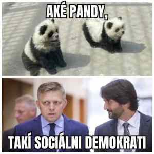 Obrázek 'ake pandy taki socani'