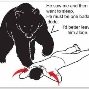 Obrázek 'ako to vidi medved'