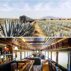 Obrázek 'all you can drink tequila train'