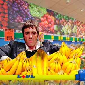 Obrázek 'alpacino-lidl'