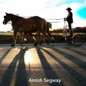 Obrázek 'amish segway. '