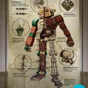 Obrázek 'anatomy2010 5B1 5D'