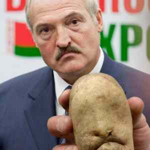 Obrázek 'angry potato'