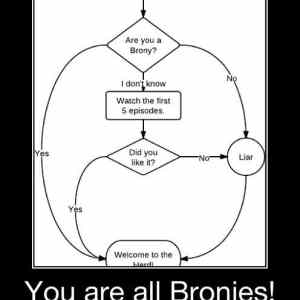 Obrázek 'are you brony'