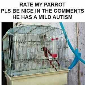 Obrázek 'autistic parrot'