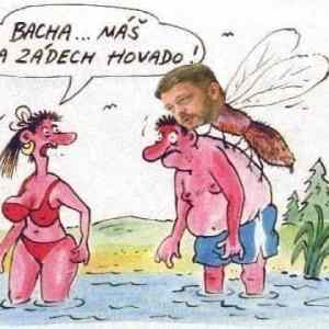 Obrázek 'bacha hovado'