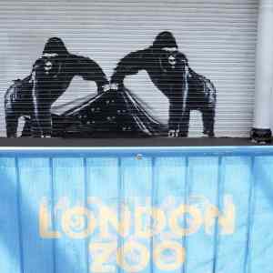 Obrázek 'banksy london zoo fixed'