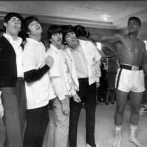 Obrázek 'beatles vs boxer'