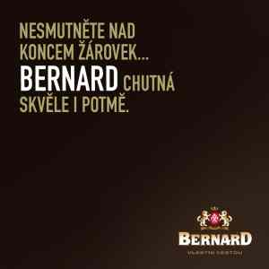 Obrázek 'bernard chutna skvele'