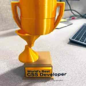 Obrázek 'best CSS dev'