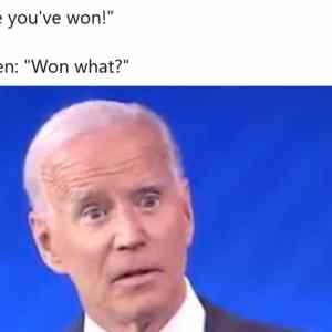 Obrázek 'biden won what'