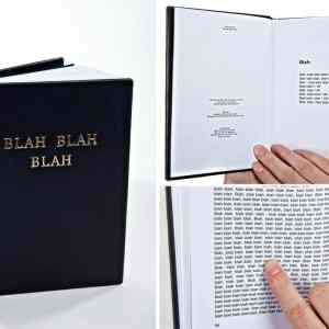 Obrázek 'blah blah blah'