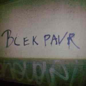 Obrázek 'blek pavr'