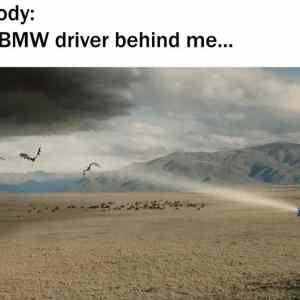 Obrázek 'bmw drivers1'