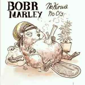 Obrázek 'bobr marley'