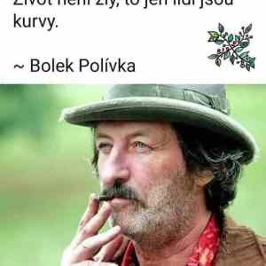 Obrázek 'bolek 1'