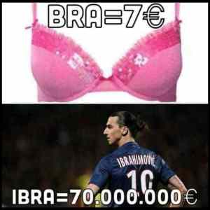 Obrázek 'bra-ibra'