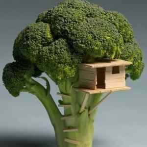 Obrázek 'broccoli house'