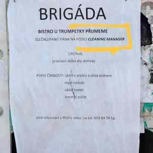 Obrázek 'brugada snu'