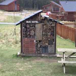 Obrázek 'bug-hotel'