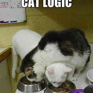 Obrázek 'cat logic98J7'