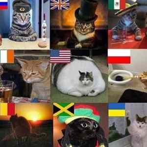 Obrázek 'catflags'