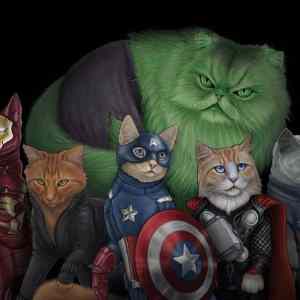 Obrázek 'catvengers'