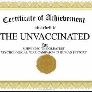Obrázek 'certificate of achievement'
