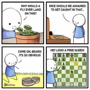 Obrázek 'chess meme'