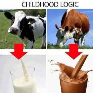 Obrázek 'childhood logic'