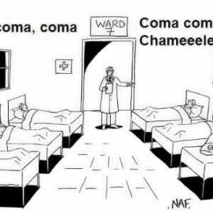 Obrázek 'coma coma coma '