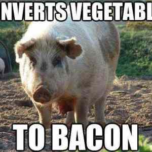 Obrázek 'converts-vegetables'