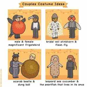 Obrázek 'couple costumes'