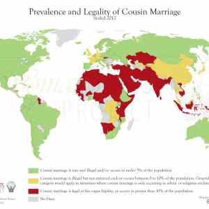 Obrázek 'cousin marriage'