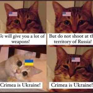 Obrázek 'crimea is ukraine'