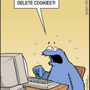 Obrázek 'delete cookies'