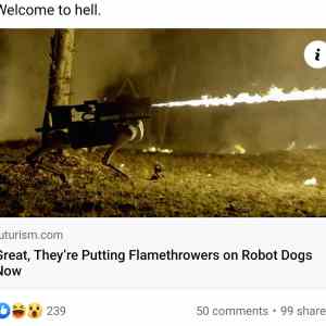 Obrázek 'do not put flamethrower on robotic dog'