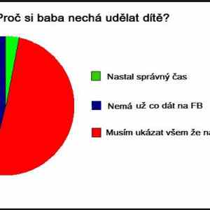 Obrázek 'duvody tehotenstvi'