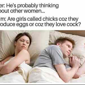 Obrázek 'eggs or cocks'