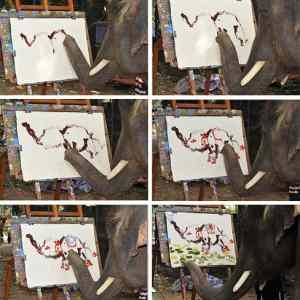 Obrázek 'elephant-painting 684865n'