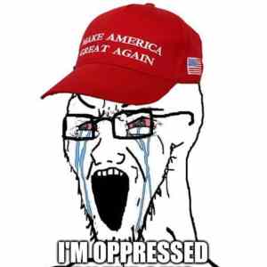 Obrázek 'every time sone minor inconvinience happen'