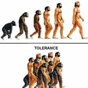 Obrázek 'evoluce - tolerance'