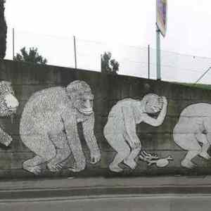 Obrázek 'evoluce na ulici'