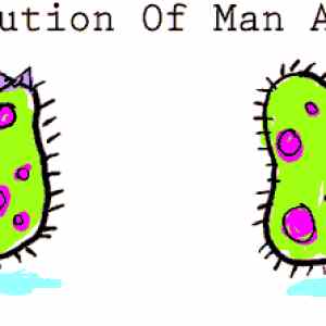 Obrázek 'evolution'