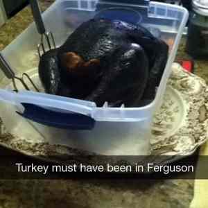 Obrázek 'ferguson thanksgiving turkey 540'