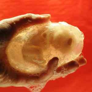 Obrázek 'fetus soap'